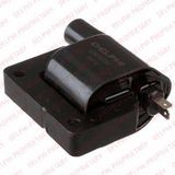DELPHI Элемент катушки зажигания GN10291