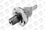 BorgWarner (BERU) Датчик давления масла SPR004