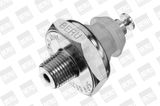 BorgWarner (BERU) Датчик давления масла SPR012