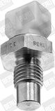 BorgWarner (BERU) Датчик, температура охлаждающей жидкости ST015