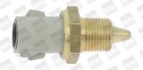 BorgWarner (BERU) Датчик, температура охлаждающей жидкости ST017