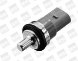 BorgWarner (BERU) Датчик, температура охлаждающей жидкости ST114