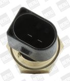 BorgWarner (BERU) Датчик, температура охлаждающей жидкости ST129