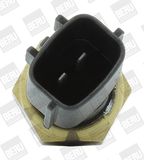 BorgWarner (BERU) Andur,Jahutusvedeliku temp. ST219