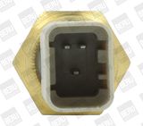 BorgWarner (BERU) Датчик, температура охлаждающей жидкости ST222