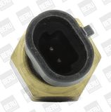 BorgWarner (BERU) Devējs, Dzesēšanas šķidruma temperatūra ST230