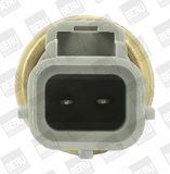 BorgWarner (BERU) Датчик, температура охлаждающей жидкости ST240