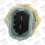 BorgWarner (BERU) siuntimo blokas, aušinimo skysčio temperatūra ST265