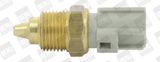 BorgWarner (BERU) Andur,Jahutusvedeliku temp. ST267