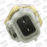 BorgWarner (BERU) Andur,Jahutusvedeliku temp. ST267