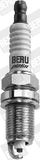 BorgWarner (BERU) Süüteküünal Z343