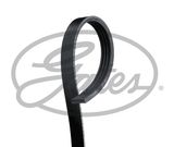 GATES Поликлиновой ремень 48341
