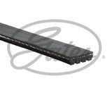 GATES Поликлиновой ремень 48342