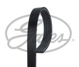 GATES Ķīļrievu siksna 58425