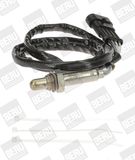 BorgWarner (BERU) Lambda andur OZH056