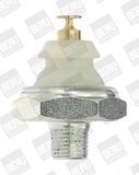 BorgWarner (BERU) Датчик давления масла SPR011