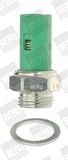 BorgWarner (BERU) Датчик давления масла SPR027