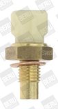 BorgWarner (BERU) Датчик, температура охлаждающей жидкости ST015