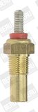 BorgWarner (BERU) Датчик, температура охлаждающей жидкости ST055