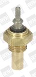 BorgWarner (BERU) Датчик, температура охлаждающей жидкости ST057