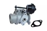 ASAM EGR-klapp 74175