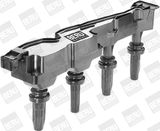 BorgWarner (BERU) Süütepool ZS241
