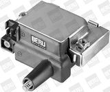 BorgWarner (BERU) Катушка зажигания ZS275