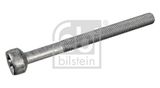 FEBI BILSTEIN Kruvi, sissepritsedüüsi kinnitus 172930