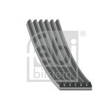 FEBI BILSTEIN V formos rumbuoti diržai 28933