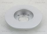 TRISCAN Тормозной диск 8120 10137C