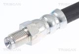 TRISCAN Bromsslang 8150 29201