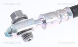 TRISCAN Pidurivoolik 8150 29258