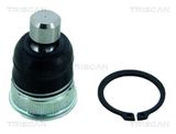 TRISCAN Pallonivel 8500 14555