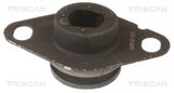 TRISCAN Mootoripadi 8505 25127