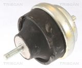 TRISCAN Подвеска, двигатель 8505 28107