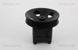 TRISCAN Hydraulikslang, stysrsystem 8515 27614