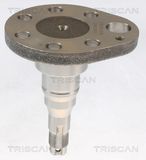 TRISCAN Pyörän napa 8535 29016