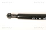 TRISCAN Gaasivedru,tagaklaas 8710 29288