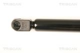 TRISCAN Gaasivedru, pagasi-/veoruum 8710 29293