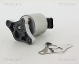 TRISCAN EGR-klapp 8813 24002