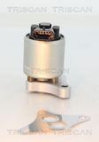 TRISCAN EGR-klapp 8813 24002