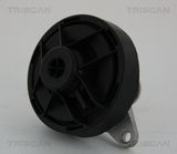 TRISCAN EGR-klapp 8813 24202