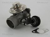 TRISCAN EGR-klapp 8813 29057