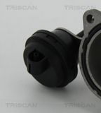 TRISCAN EGR-klapp 8813 29057