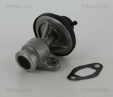 TRISCAN EGR-klapp 8813 29307