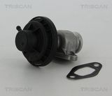 TRISCAN EGR-klapp 8813 29307
