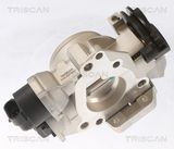 TRISCAN Корпус дроссельной заслонки 8820 25006