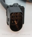 TRISCAN lambda jutiklis 8845 23028