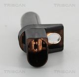 TRISCAN Датчик импульсов 8855 10145