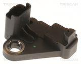 TRISCAN Датчик импульсов 8855 27113